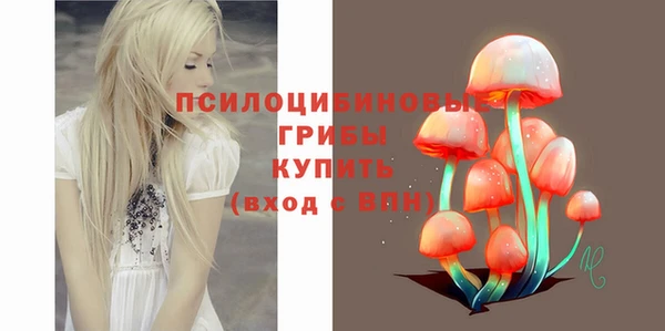 гидропоника Богородицк