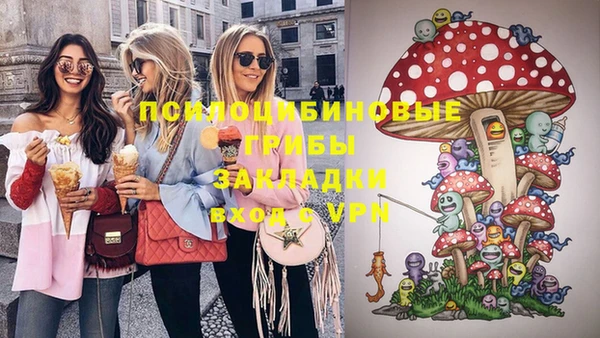 гидропоника Богородицк