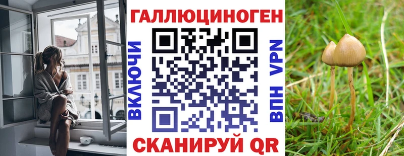ОМГ ОМГ tor  Динская  Галлюциногенные грибы MAGIC MUSHROOMS  купить наркотики цена 